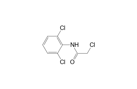 2-Chloro-N-(2,6-dichlorophenyl)acetamide