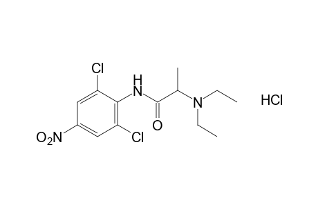 2',6'-dichloro-2-(diethylamino)-4'-nitropropionanilide, monohydrochloride
