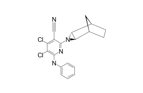 3-(4,5-DICHLORO-3-CYANO-6-PHENYLAMINO-2-PYRIDYL)-3-AZABICYCLO-[3.2.1.0]-OCTANE