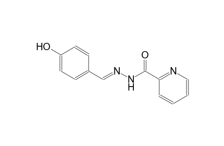 2-pyridinecarboxylic acid, 2-[(E)-(4-hydroxyphenyl)methylidene]hydrazide