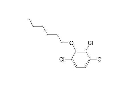 2,3,6-Trichlorophenyl hexyl ether