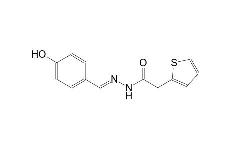 2-thiopheneacetic acid, 2-[(E)-(4-hydroxyphenyl)methylidene]hydrazide