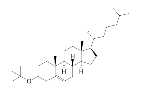 Cholesteryl-t-butylether