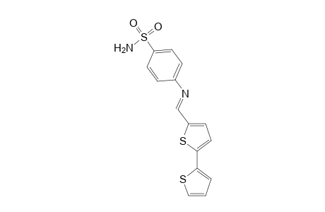 Benzenesulfonamide, 4-[([2,2'-bithiophen]-5-ylmethylene)amino]-