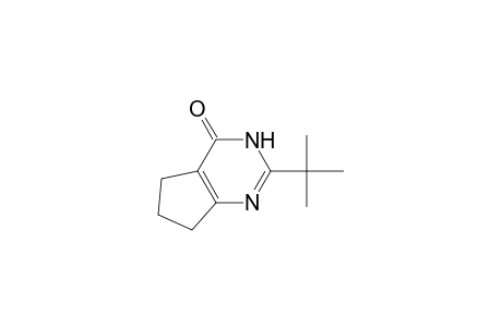 2-tert-butyl-1,5,6,7-tetrahydrocyclopenta[d]pyrimidin-4-one