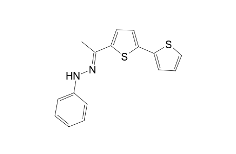 Ethanone, 1-[5-(2-thienyl)thien-2-yl]-, phenylhydrazone