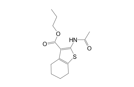 propyl 2-(acetylamino)-4,5,6,7-tetrahydro-1-benzothiophene-3-carboxylate