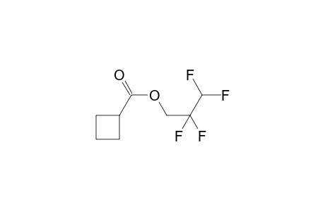 Cyclobutanecarboxylic acid, 2,2,3,3-tetrafluoropropyl ester
