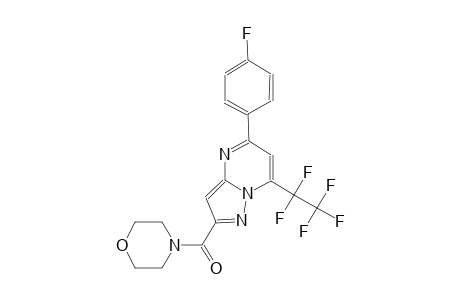5-(4-fluorophenyl)-2-(4-morpholinylcarbonyl)-7-(1,1,2,2,2-pentafluoroethyl)pyrazolo[1,5-a]pyrimidine