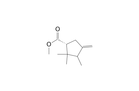 Cyclopentanecarboxylic acid, 2,2,3-trimethyl-4-methylene-, methyl ester, (1S-cis)-