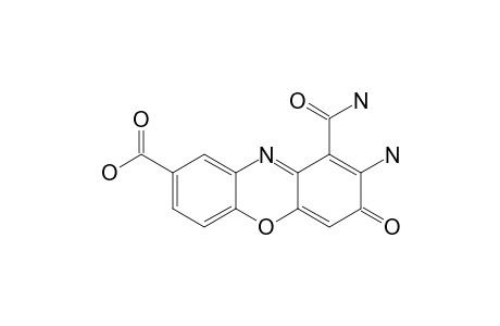ELLOXAZINONES-B;2-AMINO-1-CARBAMOYL-8-CARBOXYPHENOXAZIN-3-ONE