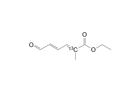 (2-(C-13))-ETHYL-2-METHYL-6-OXO-HEXA-2,4-DIENOATE