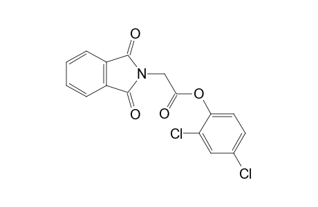 1,3-dioxo-2-isoindolineacetic acid, 2,4-dichlorophenyl ester