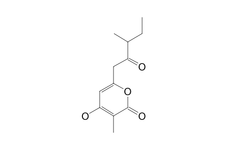 PHOMAPYRONE-B;6-(2-OXO-3-METHYLPENTYL)-4-HYDROXY-3-METHYL-2-PYRONE
