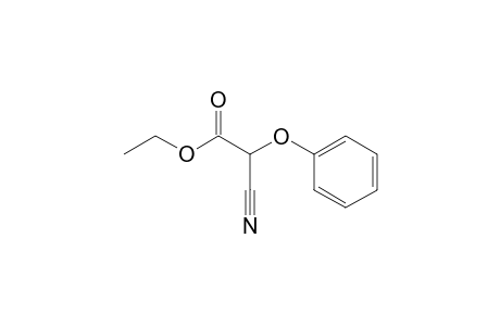 Ethyl 2-cyano-2-phenoxyacetate