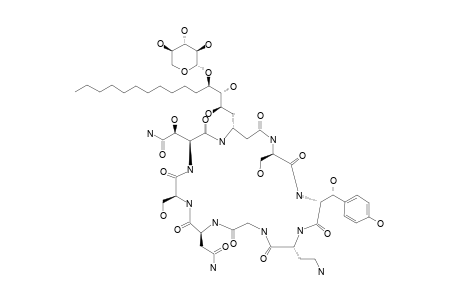 BURKHOLDINE_1215