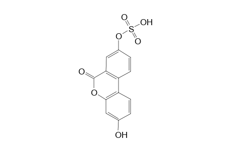 3-Hydroxydibenzo[a]pyrone-8-O-sulphonate