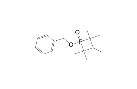 1-(Benzyloxy)-2,2,3,4,4-pentamethylphosphetane 1-oxide