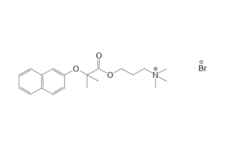 (3-hydroxypropyl)trimethylammonium bromide, 2-methyl-2-[(2-naphthyl)oxy]propionate