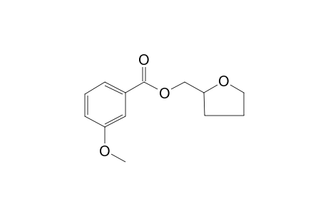 3-Methoxybenzoic acid, 2-tetrahydrofurylmethyl ester