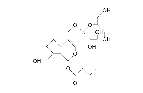 7,8-Dihydro-penstemide