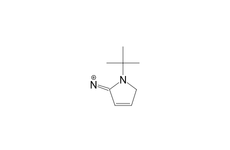 (1-tert-butyl-5H-pyrrol-1-ium-2-yl)amine