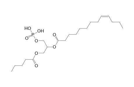 PA 5:0_13:1