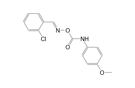 1-chloro-2-[(E)-({[(4-methoxyanilino)carbonyl]oxy}imino)methyl]benzene