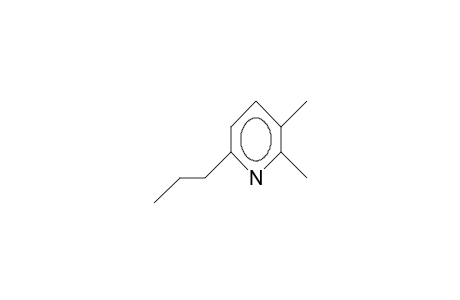 2,3-Dimethyl-6-propyl-pyridine