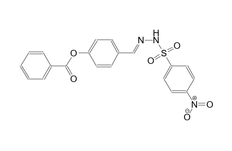 benzenesulfonic acid, 4-nitro-, 2-[(E)-[4-(benzoyloxy)phenyl]methylidene]hydrazide