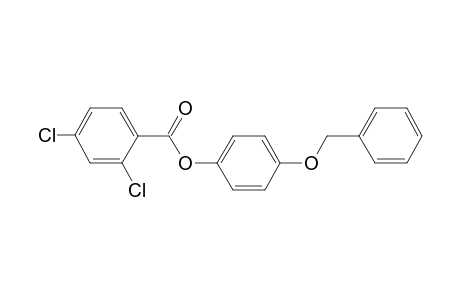 4-(Benzyloxy)phenyl 2,4-dichlorobenzoate