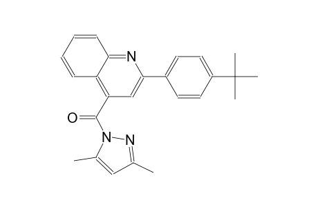 2-(4-tert-butylphenyl)-4-[(3,5-dimethyl-1H-pyrazol-1-yl)carbonyl]quinoline