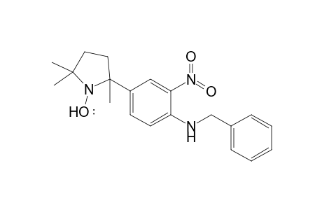 2,5,5-Trimethyl-2-(4-benzylamino-3-nitrophenyl)pyrrolidin-1-yloxy radical