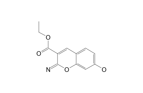 ETHYL-7-HYDROXY-2-IMINO-2H-BENZOPYRAN-3-CARBOXYLATE