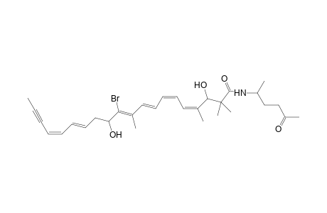 Clathrynamide C