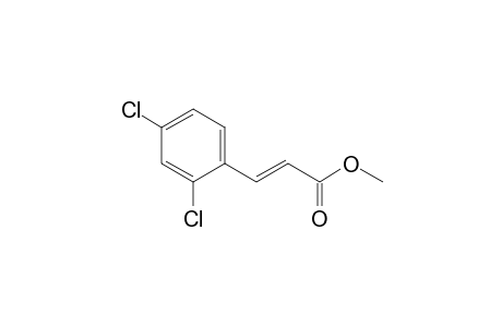 (E)-3-(2,4-dichlorophenyl)-2-propenoic acid methyl ester