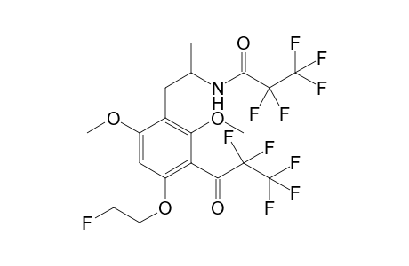 Psi-MFEM 2PFP