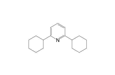 2,6-Dicyclohexylpyridine