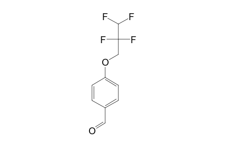4-(2,2,3,3-TETRAFLUORO-PROPYLOXY)-BENZALDEHYDE