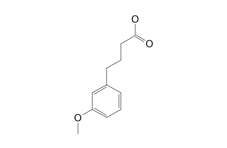 4-(3-METHOXYPHENYL)-BUTANOIC-ACID