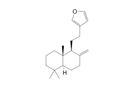 (+)-15,16-Epoxy-8(17),13(16),14-labdatriene