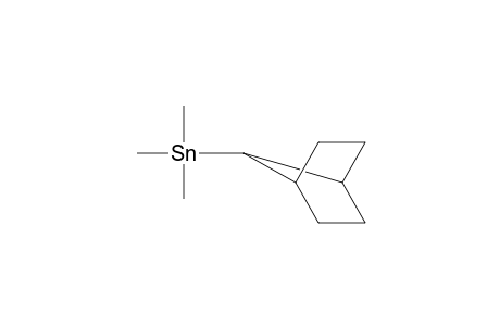 SN(7-NORBORNANE)ME3 (1)