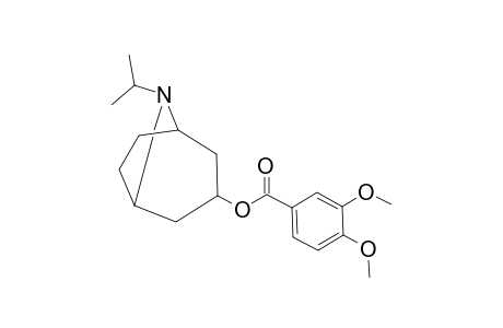 3,4-Dimethoxy-benzoic acid 8-isopropyl-8-aza-bicyclo[3.2.1]oct-3-yl ester