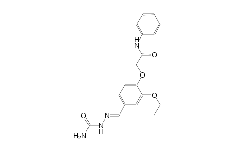 2-(4-{(E)-[(aminocarbonyl)hydrazono]methyl}-2-ethoxyphenoxy)-N-phenylacetamide