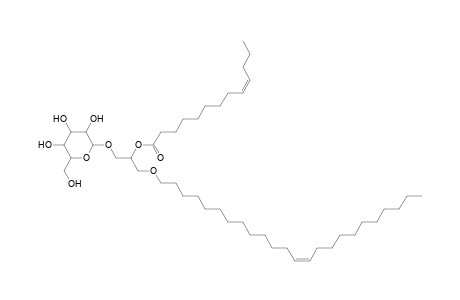 MGDG O-24:1_13:1