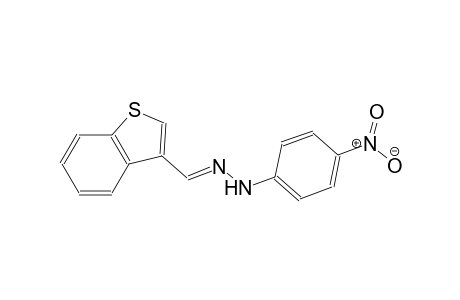 benzo[b]thiophene-3-carboxaldehyde, (4-nitrophenyl)hydrazone
