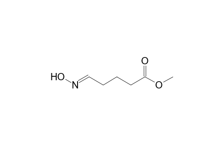 Methyl 5-hydroxyiminopentanoate