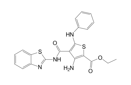 Ethyl 3-amino-5-anilino-4-[(benzothiazol-2-ylamino)carbonyl]thiophene-2-carboxylate