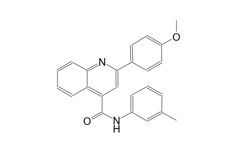 4-quinolinecarboxamide, 2-(4-methoxyphenyl)-N-(3-methylphenyl)-