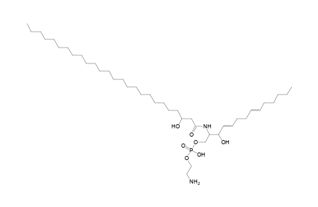 PE-Cer 14:2;2O/26:0;O